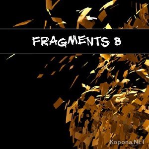 Fragments 8 (2012)