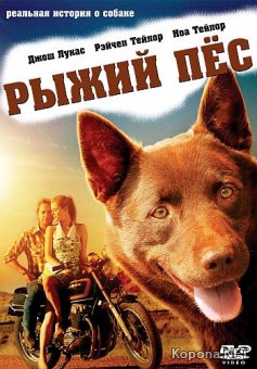   / Red Dog (2011) DVD5