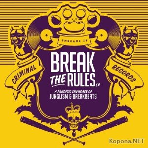 Break The Rules (2012)